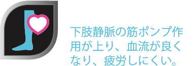 筋ポンプ作用